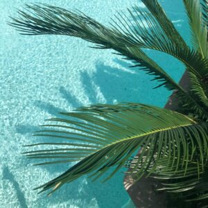 summer boosters julio y agosto - 300€ (primer pago)